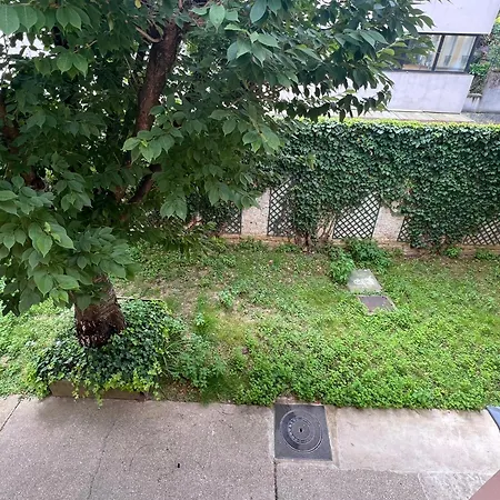 Appartement Duplex Plein Sud *