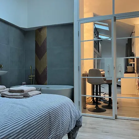 Appartement Duplex Plein Sud Parijs